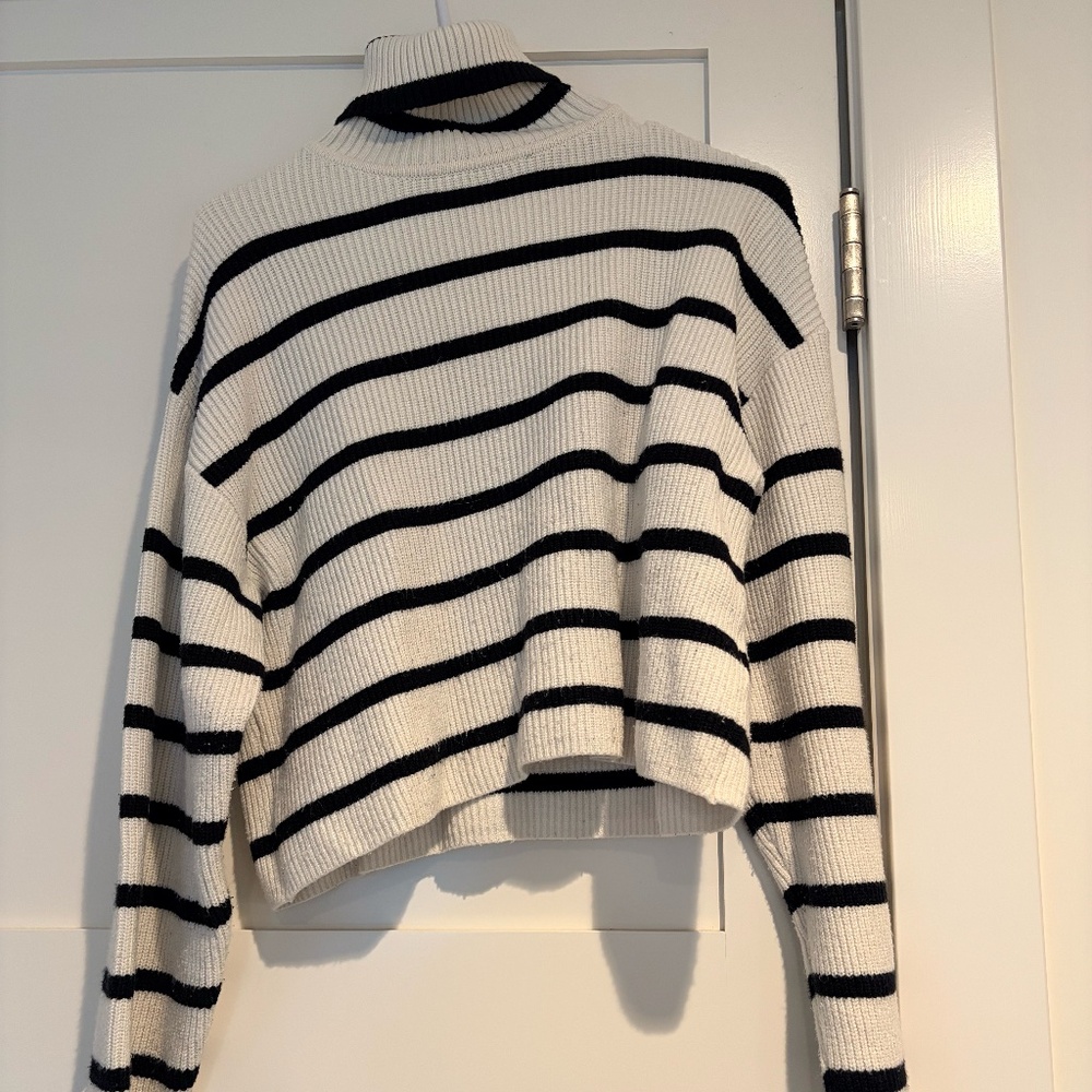 Zara striped turtleneck